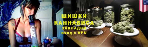 хмурый Арсеньев