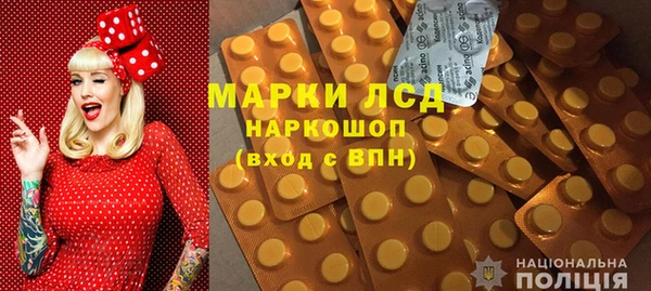 хмурый Арсеньев